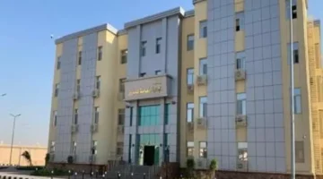 لوحة سيارة فريدة تتجاوز قيمتها 3 ملايين جنيه في بوابة مرور مصر